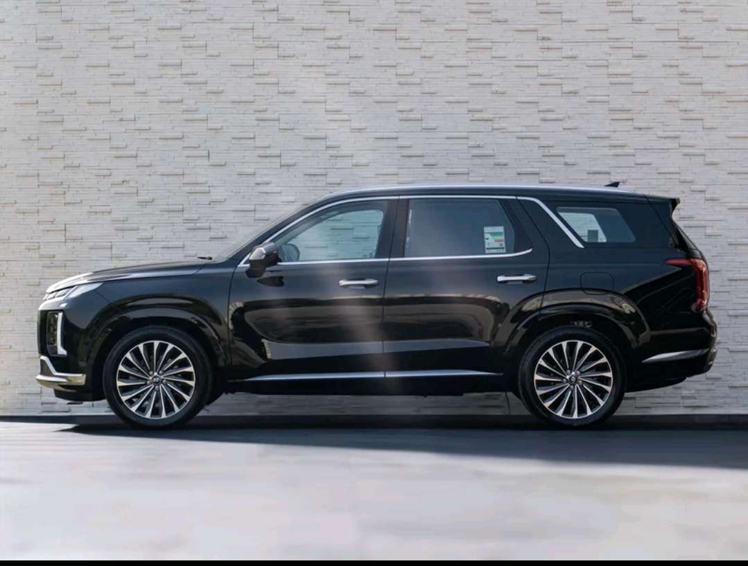 Hyundai Palisade 2024
